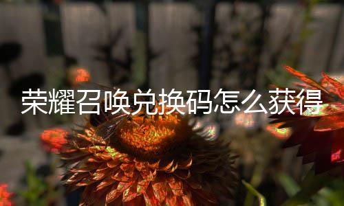 不同荣耀召唤总兑换得 兑换渠道新增码怎么获码汇