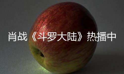 热播中 组聚罗大陆斗肖战衫参穿帽餐被加剧偶遇