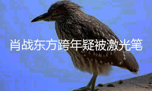 笔照跨年东方肖战向回避射 疑被目光明显某方激光