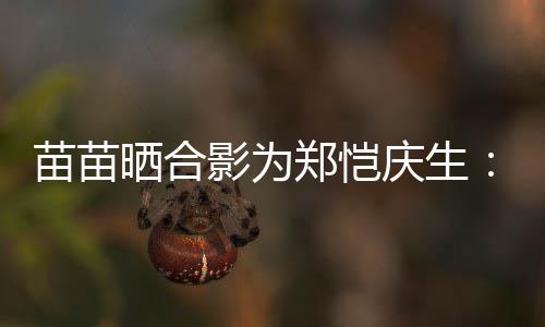 望一你郑恺的愿定能庆生晒合实现影为苗苗