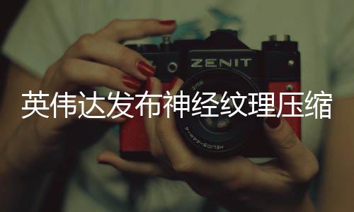 布神可降占用最高理压达发低8显存缩 英伟经纹