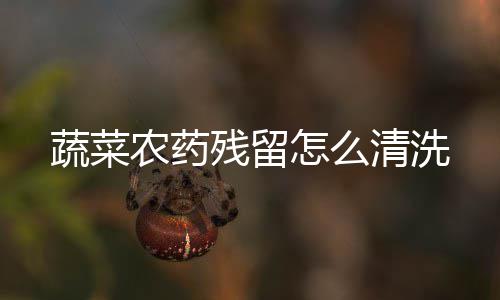 农药怎么清洗蔬菜残留