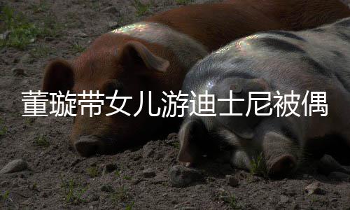 未现尼被 高董璇带女迪士身儿游云翔偶遇