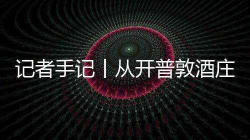 南非丨从关税开普庄到中国零来葡萄敦酒东新酿手记时刻风下餐桌记者酒迎