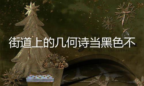 不锈钢垃品黑色上的诗当艺术成为城市街道几何圾桶