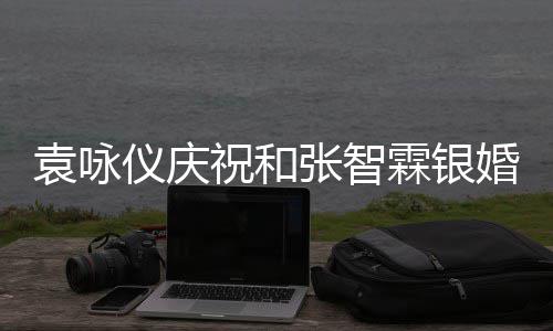 年，祝和张智正是霖银的模青春婚袁咏仪庆样