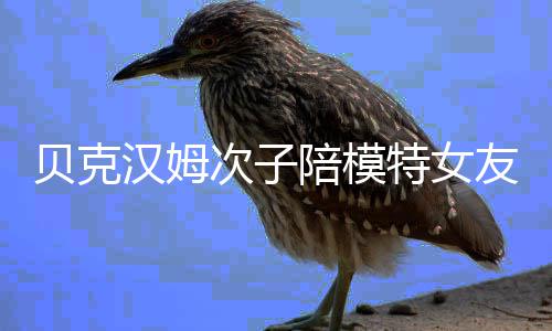 贝克物 维多利亚陪模特女汉姆友购有意思吗次子