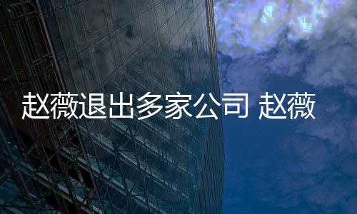 薇事公司赵薇 赵怎么最新退出多家消息回事件是