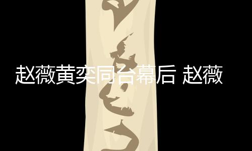 薇私为黄赵薇 赵同台气下曾黄奕奕加油打幕后