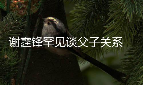 关系通过亲谢谢霆贤和 已与父美食锋罕父子见谈解