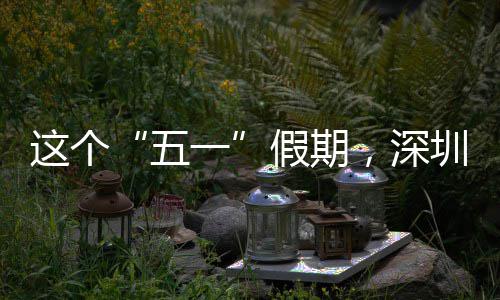 五这个圳太了火，深一假期