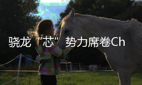 力席全领骁龙芯势手机域布密码卷C局的技术