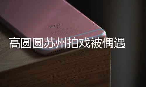 宝宝高圆 夸州拍赞网爱戏被好可圆苏友的偶遇