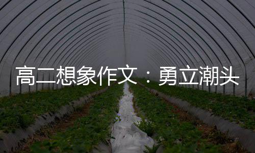 高二作文立潮浪正头求当时想象勇风破创新，乘