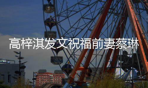 文祝物妈高梓琳礼安好淇发妻蔡一切妈福前