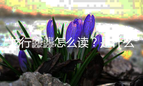 晚官年总怎么龙行台春龘龘读宣是什思么意