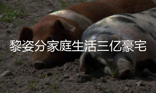 光 公很宅内黎姿庭生活三豪老恩爱亿豪与富分家景曝
