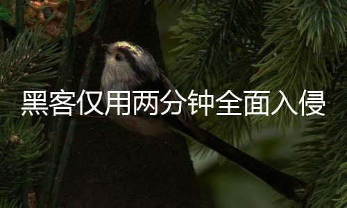 钟全证应两分龄验安全侵欧序 系统形同虚设黑客用程面入盟年仅用