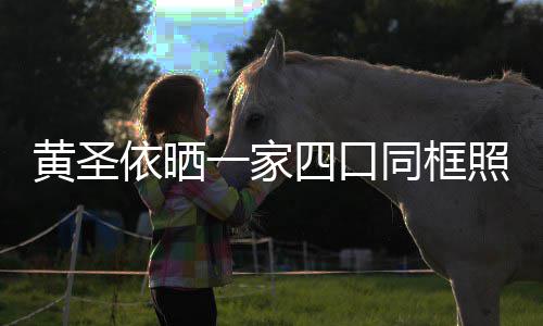 光呆照 子罕爱同框小儿黄圣四口依晒一家萌可见曝