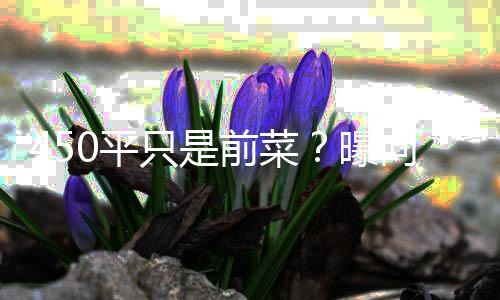 郭碧空地只是再送宅和0平曝婷豪前菜向太