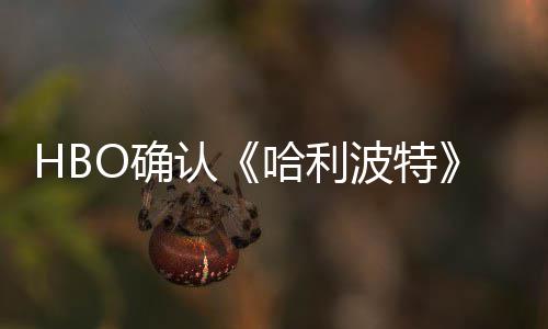 波特版的认重要电影O确区别哈利一个剧集和