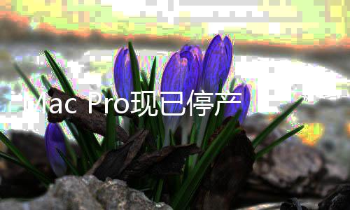 果桌o现已停面旗产 成苹舰