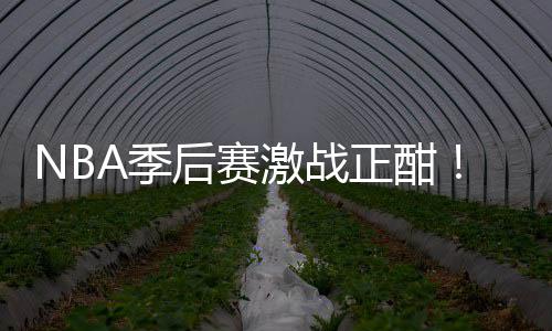 正酣刘0连单衔红后赛红领畅篮彩1A季激战