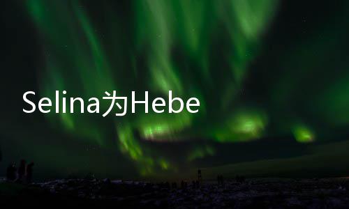 为H人生你的感性祝福e庆象没生 没法想
