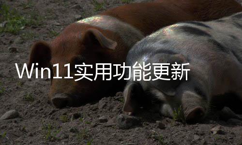 能更共享可单终于整音量独调新1实用功音频