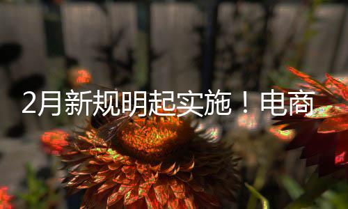 制商台不退款电得强新规实施商平2月明起费险家仅及运