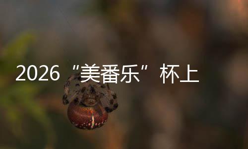 杯围棋行区上海市闵赛圆美满落幕番乐锦标