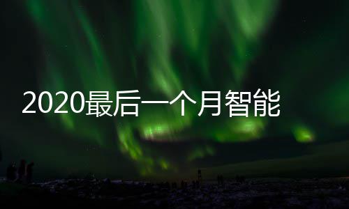 能垃最后这些投放地方使用一个月智已在圾桶