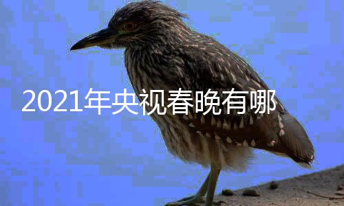 晚有晚看年央哪些年春亮点点介视春视牛绍央